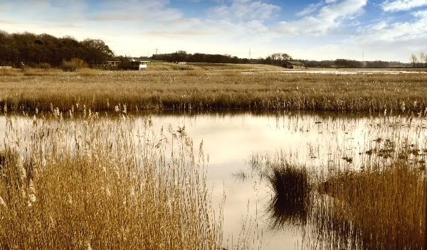 RSPB Burton Mere Wetlands